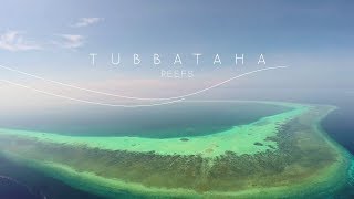 Tubbataha Reef Palawan  UNESCO Heritage Site and a National Treasure [upl. by Htyderem311]