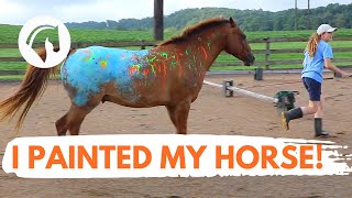 I PAINTED ON MY HORSE [upl. by Ericka296]