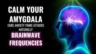 Calm Your Amygdala  Cure Anxiety Panic Attacks Naturally  Brainwave Frequencies  Amygdala Music [upl. by Giark]