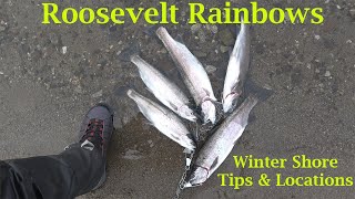 Lake Roosevelt Winter Shore Fishing [upl. by Eirual]