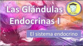 LAS GLÁNDULAS ENDOCRINAS  PARTE 1 [upl. by Burke]