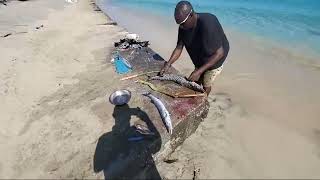 Spearfishing with odane [upl. by Durwood]