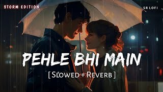 Pehle Bhi Main Slowed  Reverb  Storm Edition  Vishal Mishra  Animal  SR Lofi [upl. by Smukler]