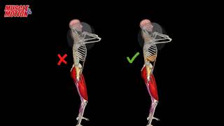 How To Do Barbell Thrusters  Common Mistake [upl. by Tallbott]