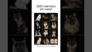 2025 calendars are ready [upl. by Hardwick820]