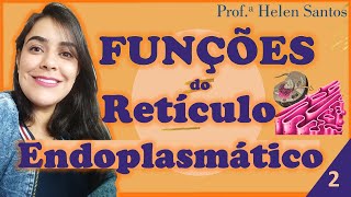 FUNÇÕES RETÍCULO ENDOPLASMÁTICO com ANIMAÇÃO 2de2  BIOLOGIA CELULAR Helen Santos [upl. by Yeclehc836]