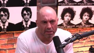 Bret Weinstein Explains the Evergreen quotDay of Absencequot Controversy  The Joe Rogan Experience [upl. by Aynuat264]