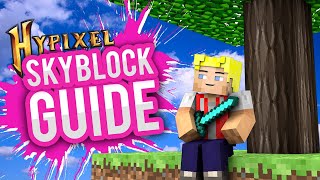 Hypixel Skyblock  Anfänger Guide  DeutschGerman  Minecraft Skyblock [upl. by Euqinomad]