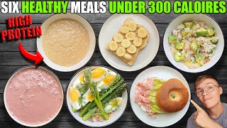 Six Healthy High Protein Meals Under 300 Calories Easy [upl. by Eriha]