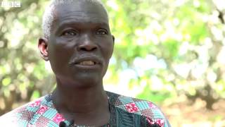 Ivory Coast Africas cashew nuts champions BBC News [upl. by Stag]