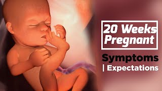 20 Weeks Pregnant  Pregnancy Week By Week Symptoms  The Voice Of Woman [upl. by Flori116]