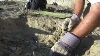 Shark Tooth Hill Fossil Hunting Bakersfield CA Ernst Quarries [upl. by Isis603]