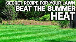 Protect your Lawn From Summer HEAT amp Stress my Secret Recipe STAY GREEN with Sea Kelp [upl. by Patt397]