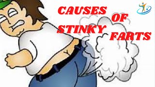 Causes of Stinky Farts [upl. by Naened]