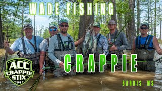 Wade Fishing for HUGE Spawning Crappie [upl. by Fatma]