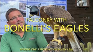 FALCONRY Bonellis’s Eagles episode one [upl. by Vivian]