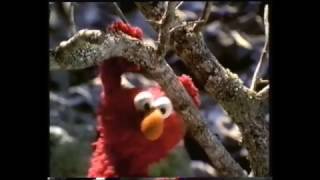 The Adventures of Elmo In Grouchland VHS and DVD Trailer [upl. by Sarah691]