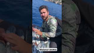 Melanur avımız sabah suyunda bu kadar tuttuk [upl. by Wallas479]