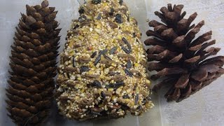 A Peanut Butter Pinecone Bird Feeder DIY Easy Kids Craft [upl. by Orsa]