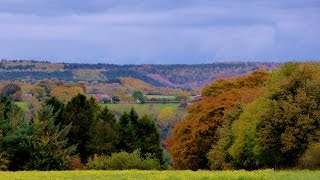 Troutsdale amp Wykeham Forest North York Moors  24 October 2015 [upl. by Lubet665]