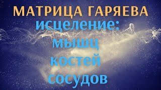 Матрица Гаряева  Исцеление мышц костей сосудов чистая часть  1 [upl. by Eel]