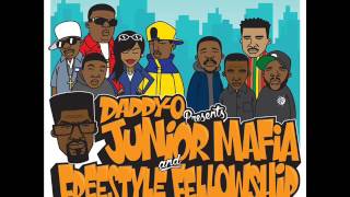 Junior Mafia featuring Notorious BIG  Steal and Rob [upl. by Nelleyram]