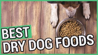 Best Dry Dog Food  5 Best Dry Dog Foods in 2021 🐶 ✅ [upl. by Kreiner270]