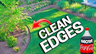 How To Have CLEAN EDGES in a LAWN  Trimmer SECRETS Revealed [upl. by Verdie]