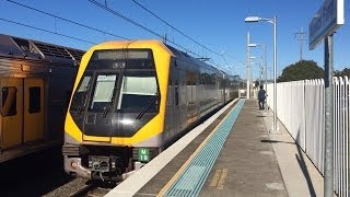 Sydney Trains Vlog 264 Warwick Farm Part 2 [upl. by Maroney]