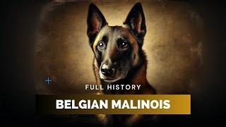 Belgian Malinois  Full History [upl. by Aserej]