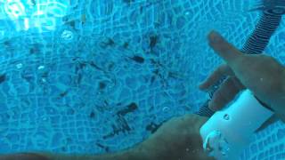 Vacuuming Intex pool using the siphoning method [upl. by Strawn]