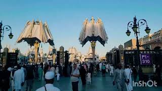 AMBRELLA AT MASJID NABI MADINA [upl. by Hilten617]