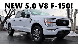 2021 Ford F150 50 V8 Should You Get The 50 Over the 35 EcoBoost [upl. by Duffie]