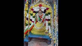 kurinjipadi ayyappa 14122024 [upl. by Welsh392]