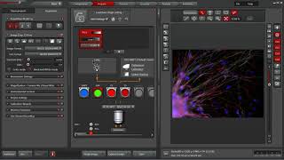 Leica LAS X Software Interface Quick Overview Widefield [upl. by Dyann]