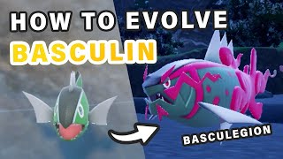 How to Evolve Basculin into Basculegion ► Pokemon Scarlet amp Violet [upl. by Sitoiyanap]