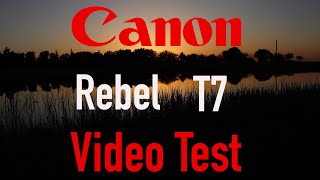 Canon T7 1500D Video Test [upl. by Stanfill]