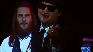 The Blues Brothers  Soul Man  12311978  Winterland [upl. by Ahsyen]