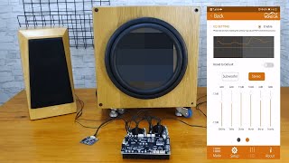 Use Miumax APP to control the audio 21 system with BTampDSP built by WONDOM JAB3ampJAB2 [upl. by Ahsilac]