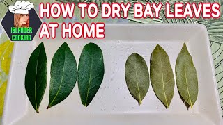 HOW TO DRY BAY LEAVES LAUREL [upl. by Jennilee949]