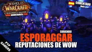 Esporaggar  Subiendo reputaciones de WoW  World of Wacraft [upl. by Dilly775]