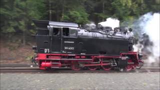 Harzer Schmalspurbahnen  Railway station Eisfelder Talmühle on the Harzquerbahn 2016 [upl. by Eniloj]