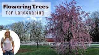 Flowering Trees for Landscaping [upl. by Airednaxela]