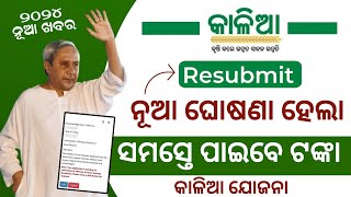 Kalia Yojana Resubmit Apply 2024  Kalia Yojana Odisha  Kalia Yojana Money New Update Odisha 2024 [upl. by Golub]