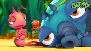 Sticky Situation 60 Minutes of Antiks by Oddbods  Kids Cartoons  Party Playtime [upl. by Nosdivad]