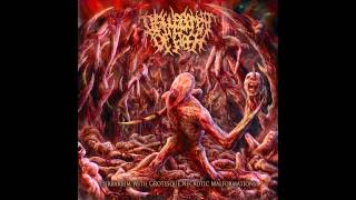 Disfigurement Of Flesh  Decomposed Genitals [upl. by Leshia]