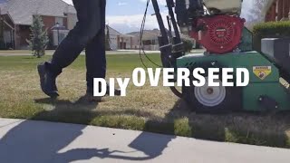 How to Overseed with a Split  Splice Seeder Billy Goat Model OS900SPH lawn overseeder [upl. by Eillit]