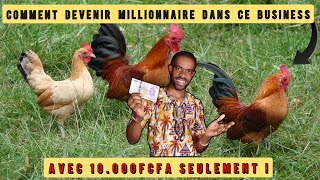 Comment devenir un leader en aviculture avec 10000Frs partout en Afrique [upl. by Hareenum147]