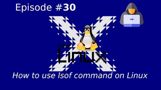 How to use lsof command on Linux [upl. by Garibald125]