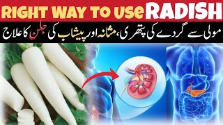 quotMOOLIquot Istamal Karne KaquotSAHI TARIKAquot Radishmuli Recipe for URINE and BLADDER ProblemsUrduHindi [upl. by Neysa]